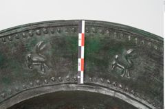 Foto von Bronzebreitrandfußschale (NHMW-PRAE-025521)